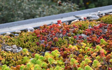 the cost of Chance Inn green roof installation